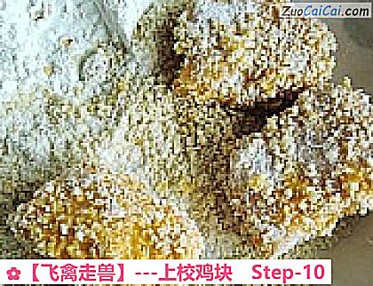 ［飞禽走兽］－上校鸡块做法第十步骤