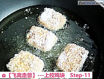 ［飞禽走兽］－上校鸡块做法第十一步骤