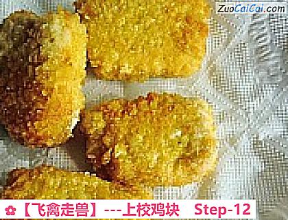 ［飞禽走兽］－上校鸡块做法第十二步骤