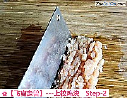 ［飞禽走兽］－上校鸡块做法第二步骤