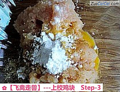 ［飞禽走兽］－上校鸡块做法第三步骤
