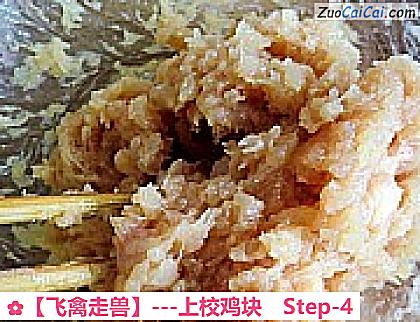 ［飞禽走兽］－上校鸡块做法第四步骤