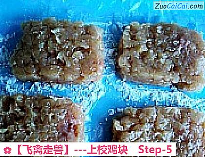 ［飞禽走兽］－上校鸡块做法第五步骤