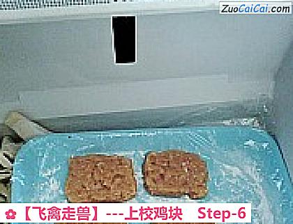 ［飞禽走兽］－上校鸡块做法第六步骤