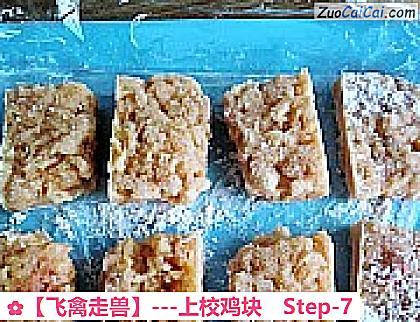 ［飞禽走兽］－上校鸡块做法第七步骤