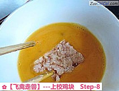 ［飞禽走兽］－上校鸡块做法第八步骤