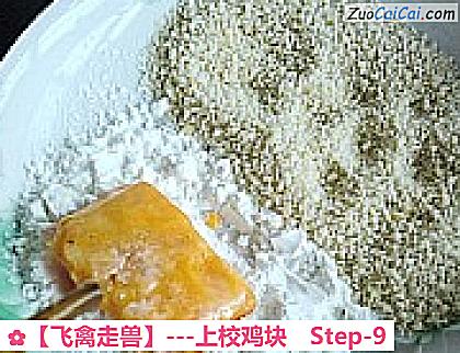 ［飞禽走兽］－上校鸡块做法第九步骤