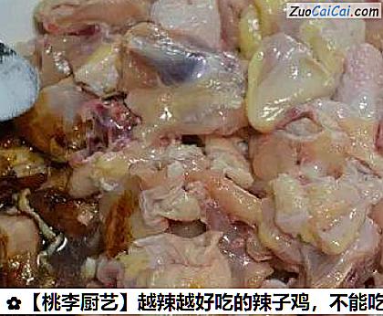 桃李厨艺做法第六步骤