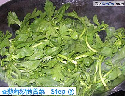 蒜蓉炒茼蒿菜做法第二步骤