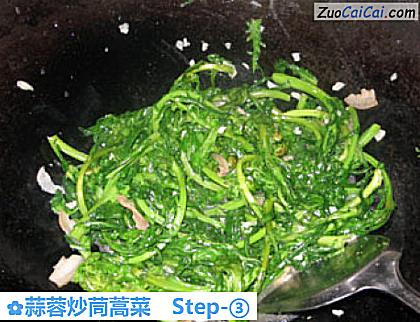 蒜蓉炒茼蒿菜做法第三步骤