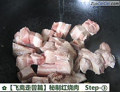 秘制红烧肉做法第三步骤