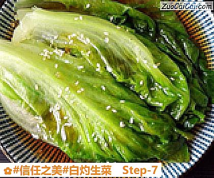白灼生菜做法第七步骤