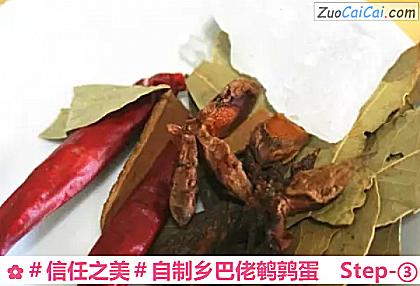 自制乡巴佬鹌鹑蛋做法第三步骤