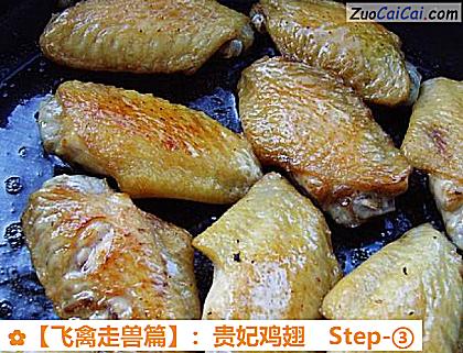 :贵妃鸡翅做法第三步骤