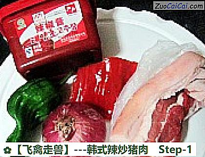 -韩式辣炒猪肉做法第一步骤