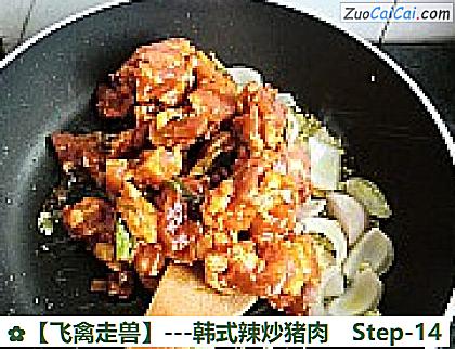 -韩式辣炒猪肉做法第十四步骤