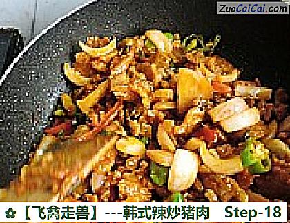 -韩式辣炒猪肉做法第十八步骤