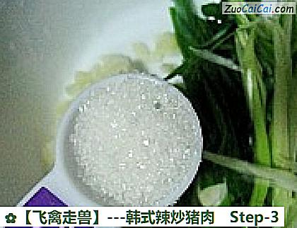 -韩式辣炒猪肉做法第三步骤