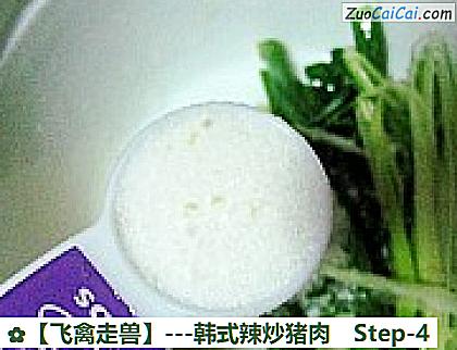 -韩式辣炒猪肉做法第四步骤