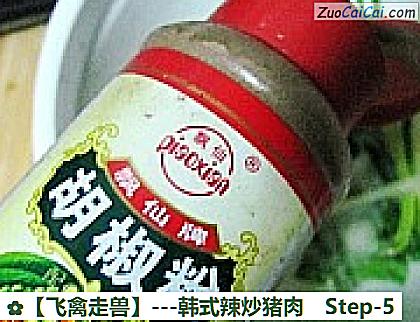 -韩式辣炒猪肉做法第五步骤