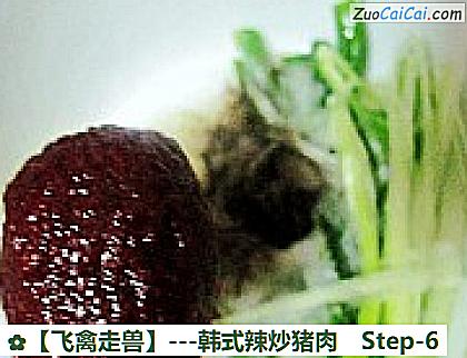 -韩式辣炒猪肉做法第六步骤