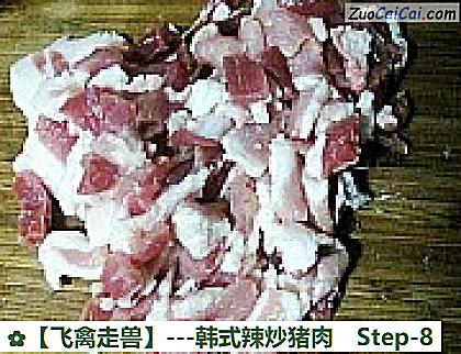 -韩式辣炒猪肉做法第八步骤