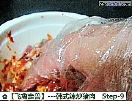 -韩式辣炒猪肉做法第九步骤