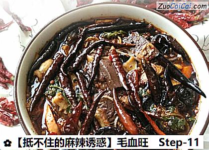 毛血旺做法第十一步骤