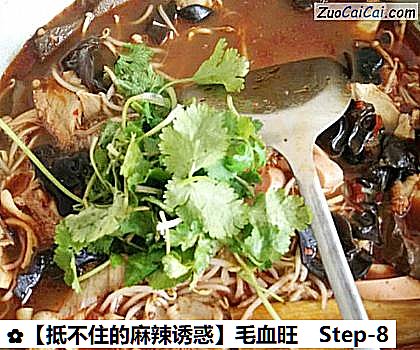 毛血旺做法第八步骤