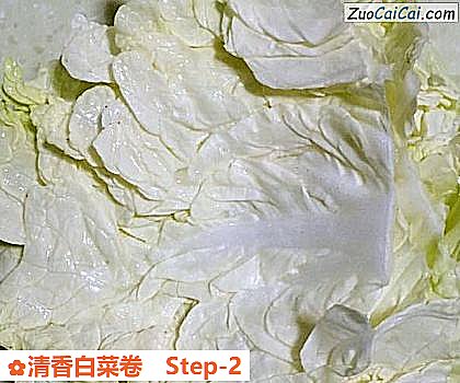 清香白菜卷做法第二步骤