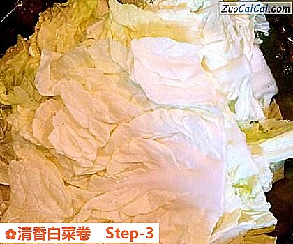 清香白菜卷做法第三步骤