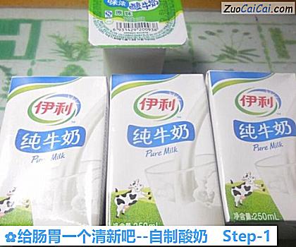 自制酸奶做法第一步骤