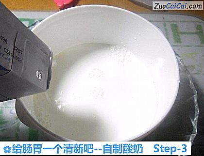 自制酸奶做法第三步骤