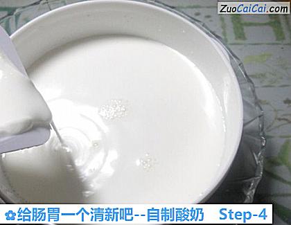 自制酸奶做法第四步骤