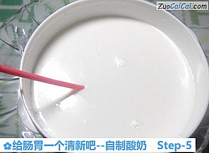 自制酸奶做法第五步骤