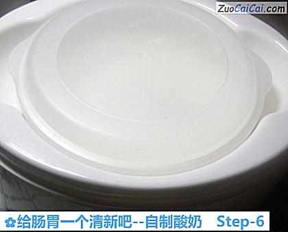 自制酸奶做法第六步骤