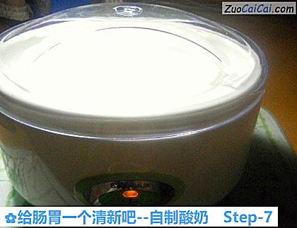 自制酸奶做法第七步骤