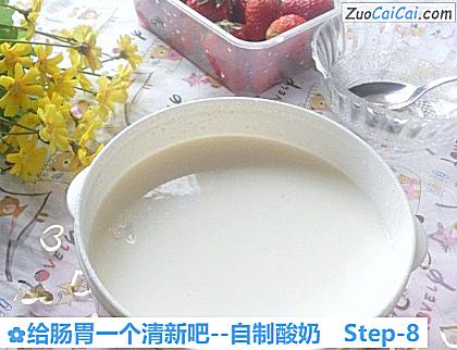 自制酸奶做法第八步骤