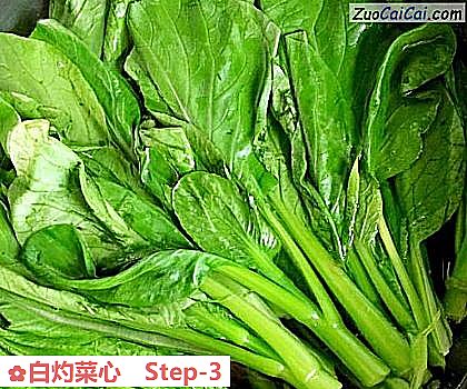 白灼菜心做法第三步骤