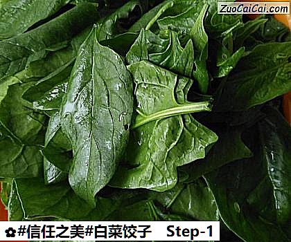 白菜饺子做法第一步骤