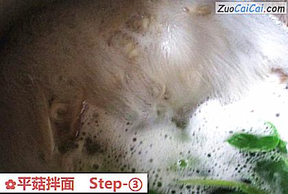 平菇拌面做法第三步骤