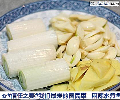 麻辣水煮鱼做法第四步骤