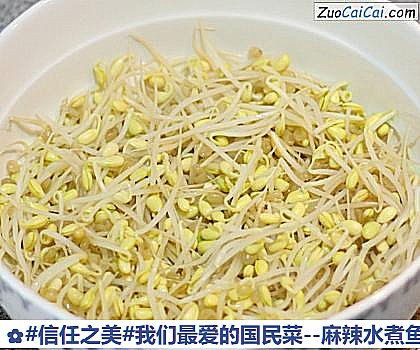 麻辣水煮鱼做法第八步骤