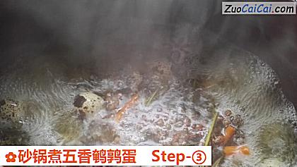 砂锅煮五香鹌鹑蛋做法第三步骤