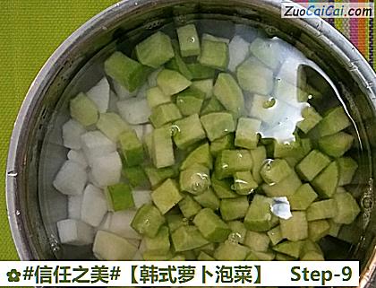 韩式萝卜泡菜做法第九步骤