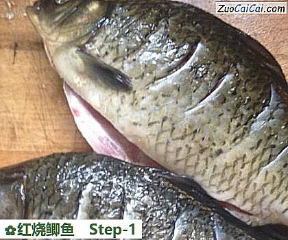 红烧鲫鱼做法第一步骤