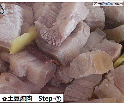 土豆炖肉做法第三步骤