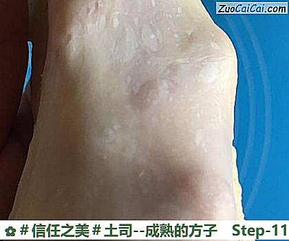 土司做法第十一步骤