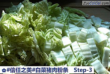 白菜猪肉粉条做法第三步骤