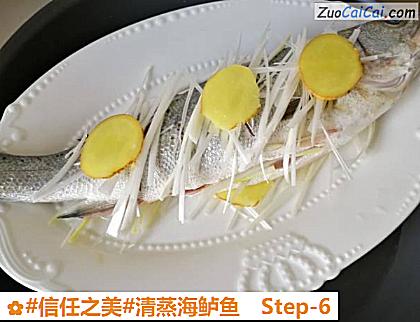 清蒸海鲈鱼做法第六步骤